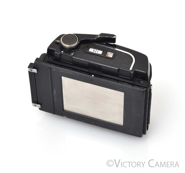 FilmBack-1_07c0dfc4-bda7-43a5-