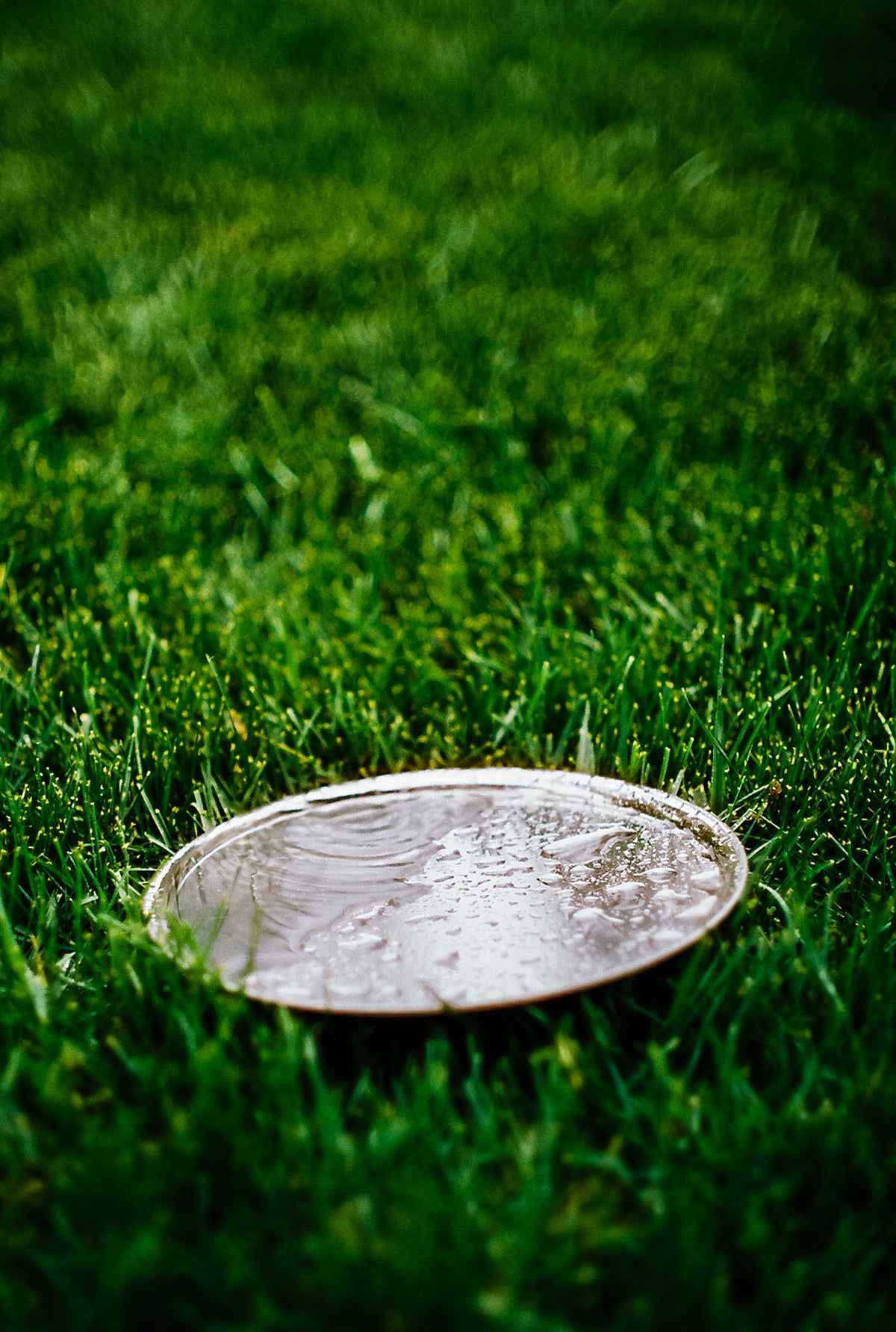 CineStill Film 50Daylight Xpro C-41 Color Negative Film (35mm Roll Film, 36 Exposures) - Victory Camera