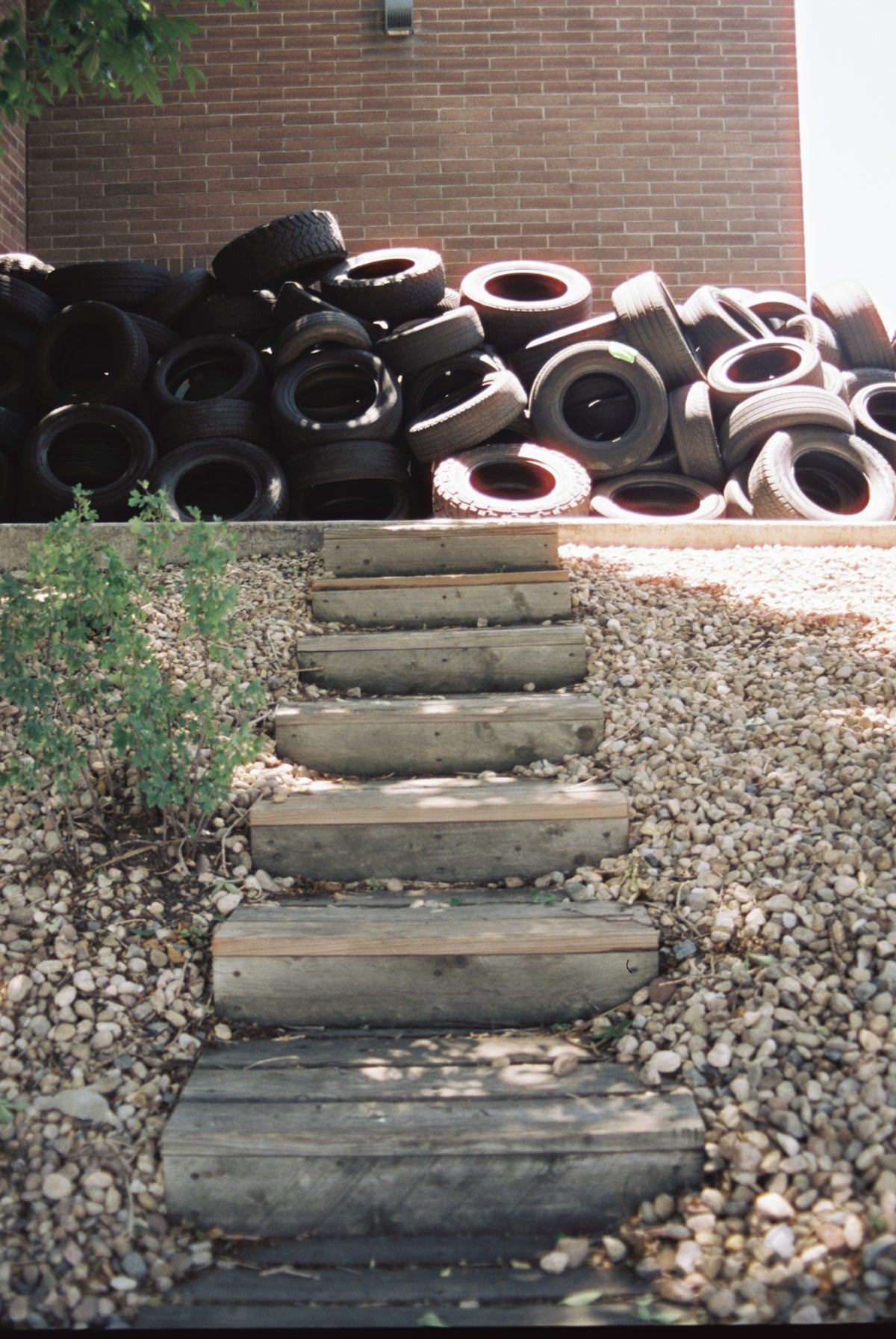 CineStill Film 50Daylight Xpro C-41 Color Negative Film (35mm Roll Film, 36 Exposures) - Victory Camera