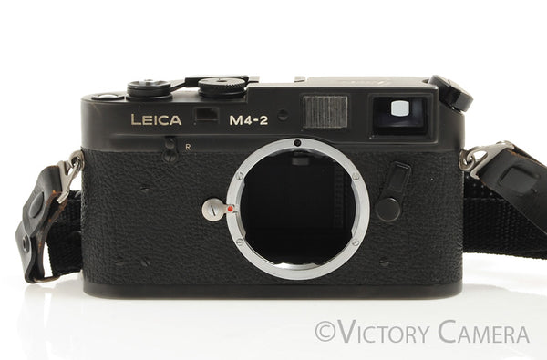 Leica M4-2 Black 35mm Rangefinder Camera [EXC+]