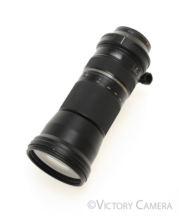 ★みゆき150-600mm F5-6.3 Di VC USD A011 SP 150-600mm F/5-6.3 Di VC USD (Model A011) | Lenses | TAMRON