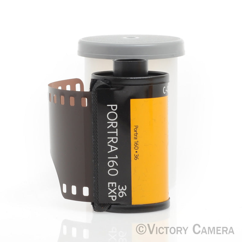 Kodak Professional Portra 160 Color Negative Film (One 35mm Roll, 36 Exposures) - Victory Camera