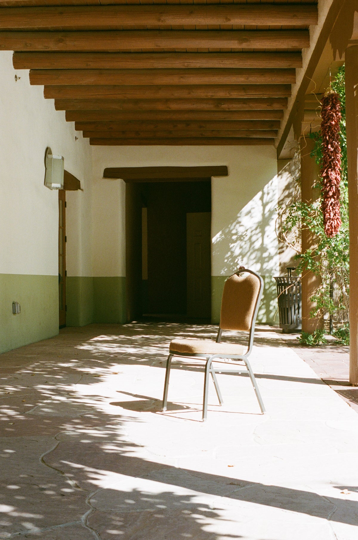 Kodak Professional Portra 400 Color Negative Film (One 35mm Roll Film, 36 Exposures) - Victory Camera
