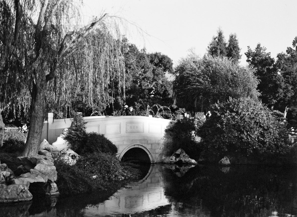 Ilford PAN F PLUS 50 Black & White Negative Film (35mm, 36 Exposures) - Victory Camera