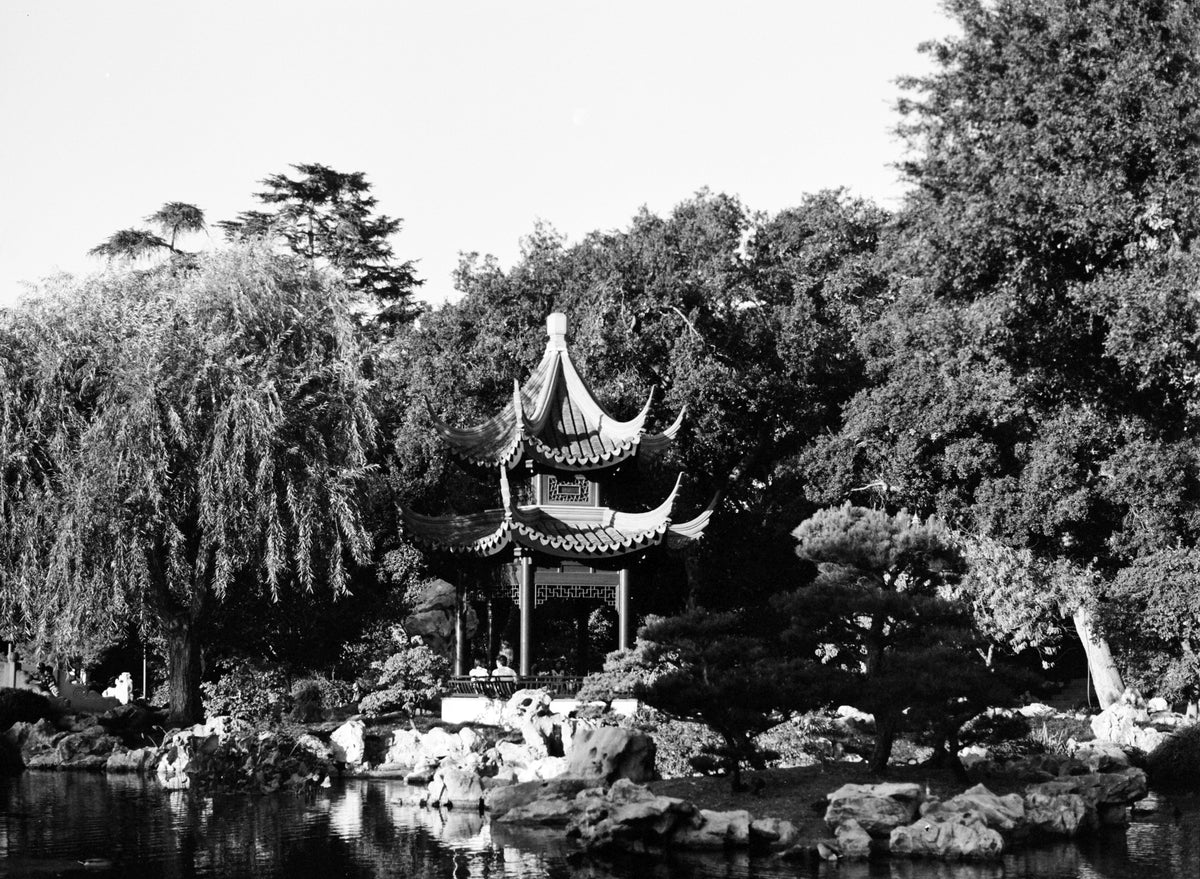 Ilford PAN F PLUS 50 Black & White Negative Film (35mm, 36 Exposures) - Victory Camera