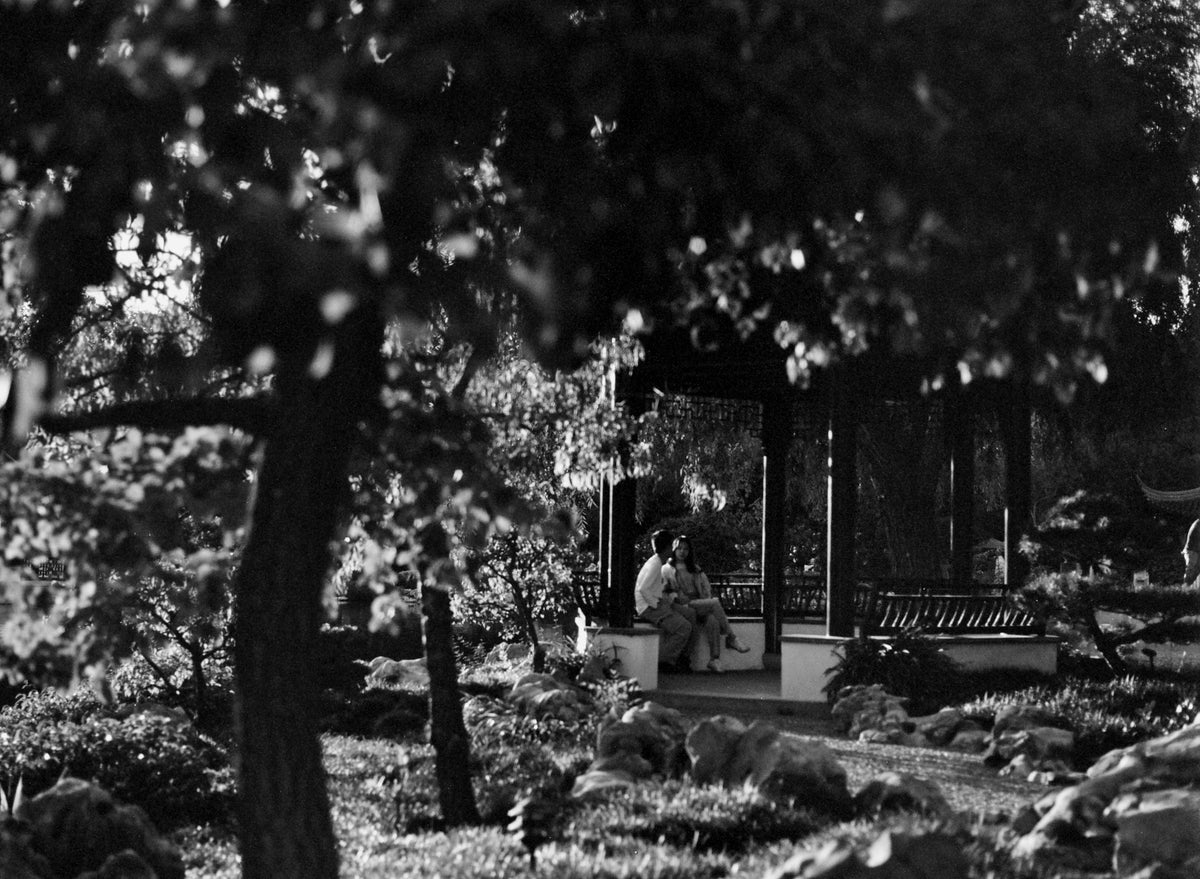 Ilford PAN F PLUS 50 Black & White Negative Film (35mm, 36 Exposures) - Victory Camera