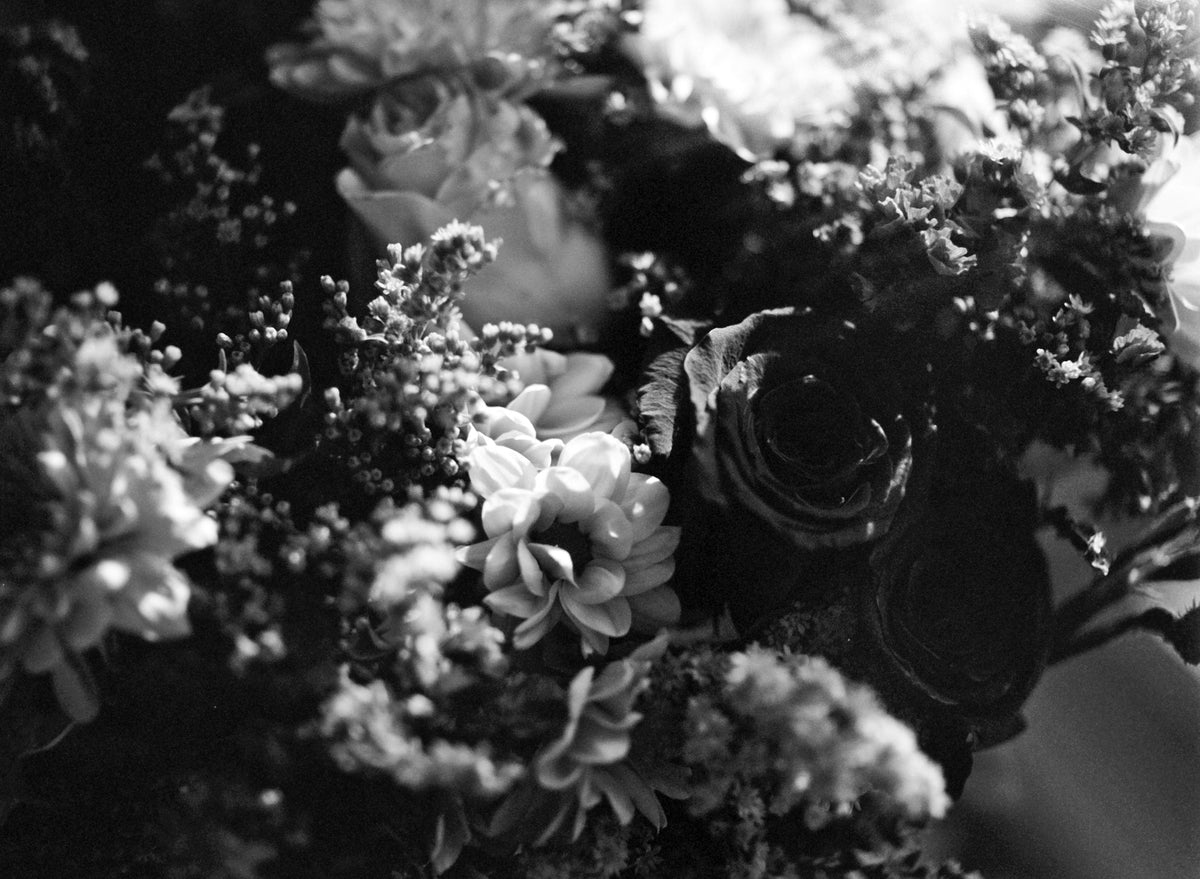 Ilford PAN F PLUS 50 Black & White Negative Film (35mm, 36 Exposures) - Victory Camera