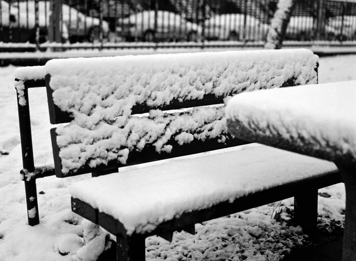Ilford PAN F PLUS 50 Black & White Negative Film (35mm, 36 Exposures) - Victory Camera