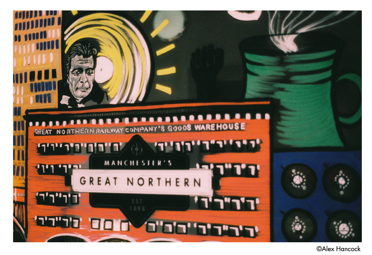 HARMAN technology Phoenix II 200 Color Negative Film (35mm, 36 Exposures) - Victory Camera
