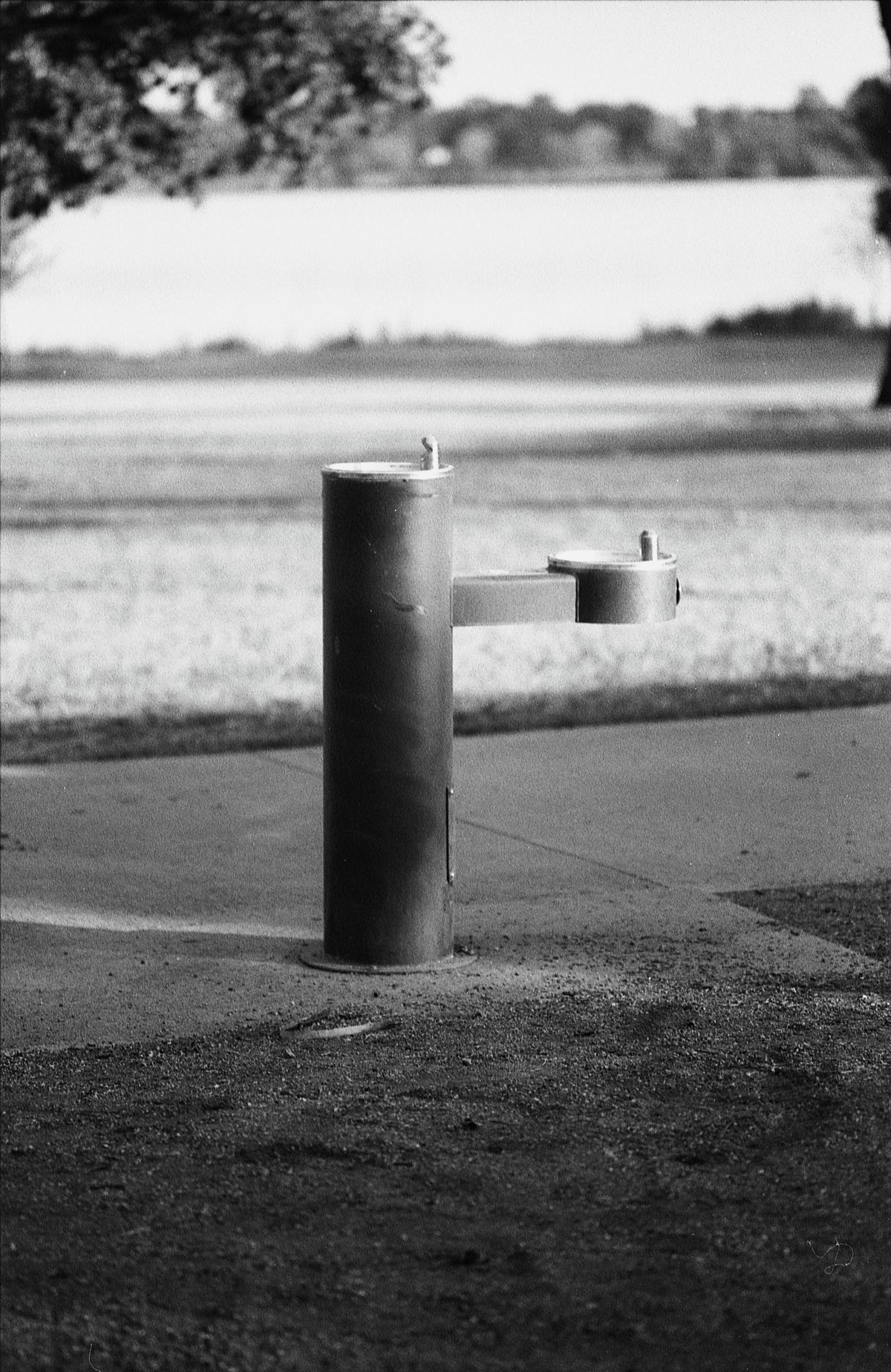 Kentmere PAN 200 Black &amp; White Negative Film (35mm Roll Film, 36 Exposures) - Victory Camera