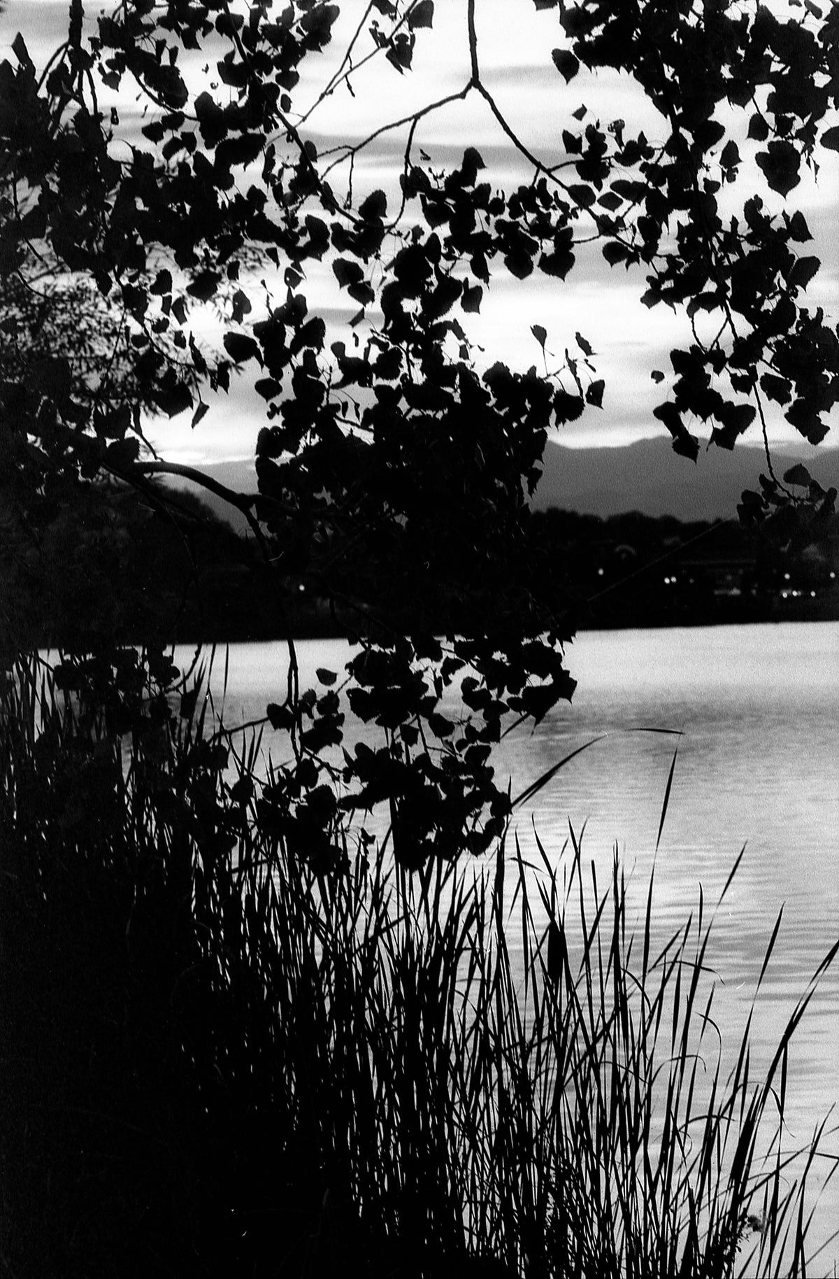 Kentmere PAN 200 Black &amp; White Negative Film (35mm Roll Film, 36 Exposures) - Victory Camera