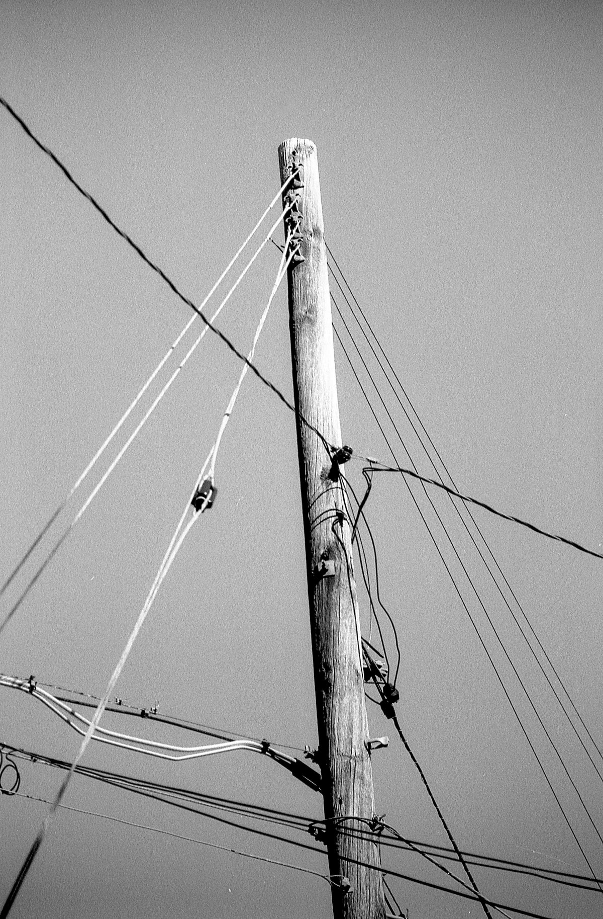 Kentmere PAN 200 Black &amp; White Negative Film (35mm Roll Film, 36 Exposures) - Victory Camera