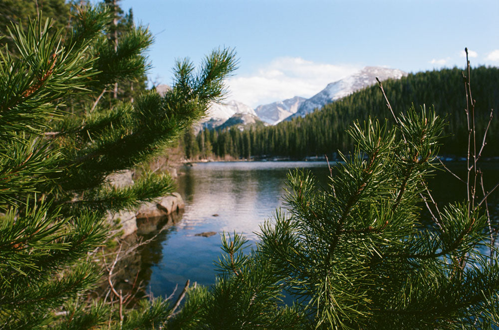 Kodak Professional Ektar 100 Color Negative Film One Roll 35mm, 36 Exposures - Victory Camera