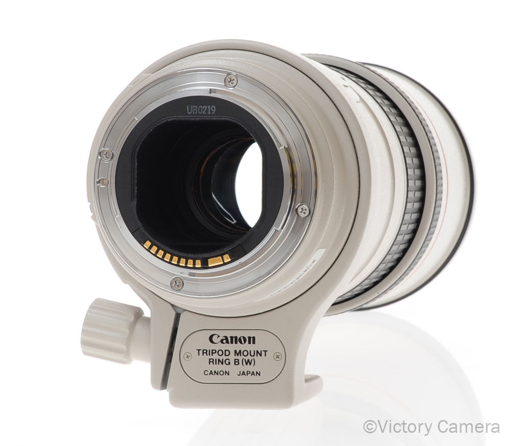 Canon 300mm f4 L IS [MINT-] - Victory Camera