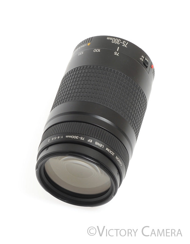 Canon EOS EF 75-300mm f4-5.6 II Telephoto Zoom Lens -BGN, Fungus-