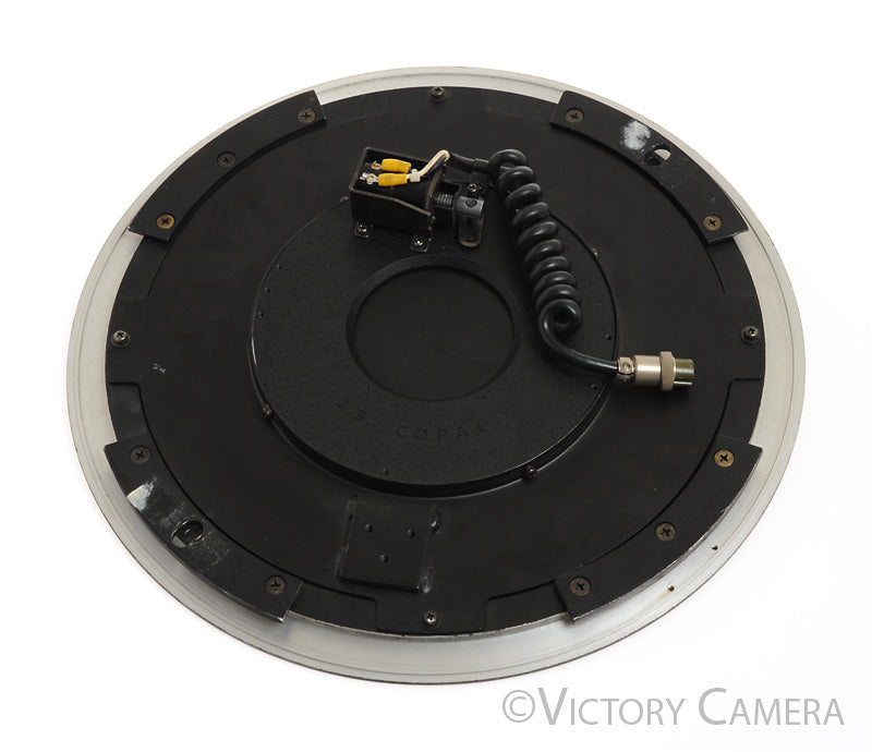 Copal Rare D.S. Shutter -Giant- [EXC] - Victory Camera