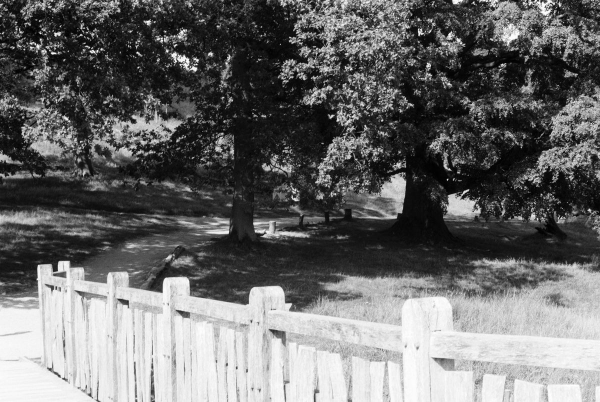 Ilford FP4 PLUS 125 Black & White Negative Film (35mm, 36 Exposures) - Victory Camera