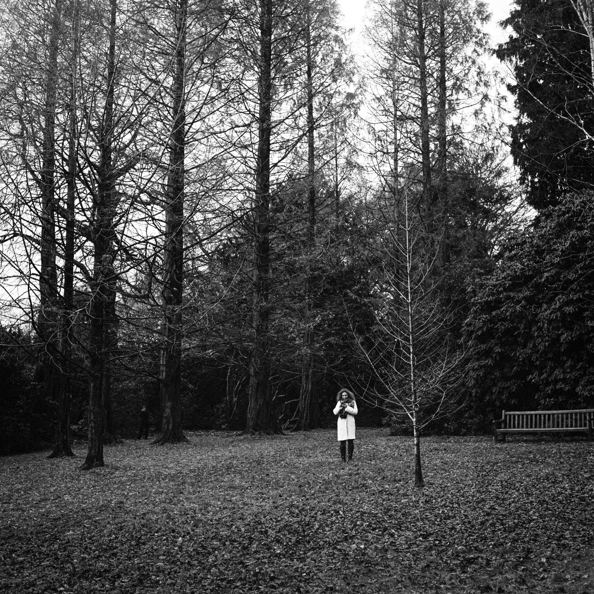 Ilford HP5 PLUS 400 Black & White Negative Film (120) - Victory Camera