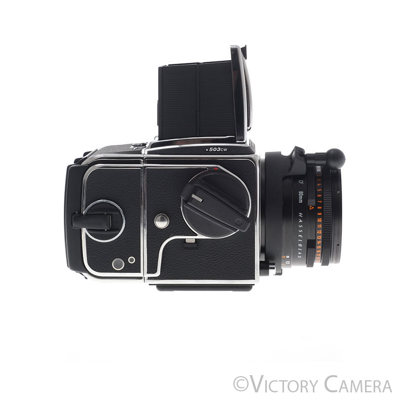 Hasselblad 503CW "Star" ISO 3200 Camera w/ 80mm f2.8 CF T* Lens A12 Back [MINT-] image 6