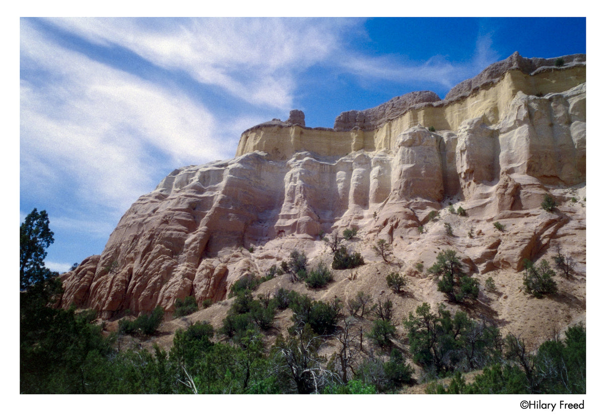 HARMAN technology Phoenix II 200 Color Negative Film (35mm, 36 Exposures) - Victory Camera