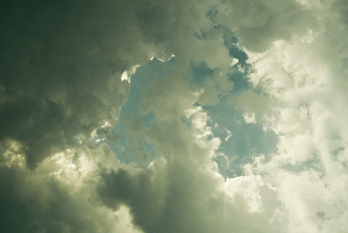 CineStill 400D Dynamic Color Negative Film (35mm Roll Film, 36 Exposures) - Victory Camera