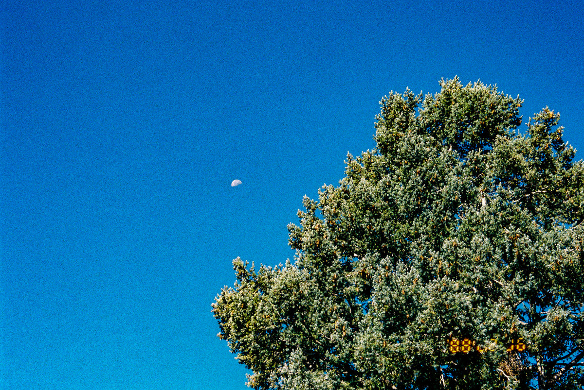 Fuji Film 400 35mm (1 Roll) - Victory Camera