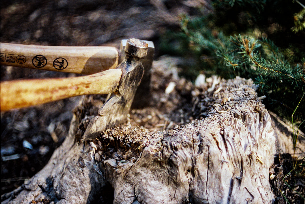 CineStill 400D Dynamic Color Negative Film (35mm Roll Film, 36 Exposures) - Victory Camera