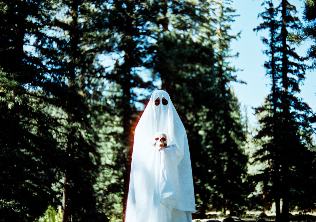 CineStill 400D Dynamic Color Negative Film (35mm Roll Film, 36 Exposures) - Victory Camera