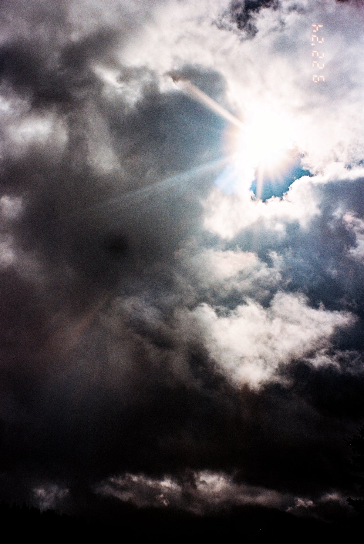 Flic Film Elektra 100 (35mm Roll Film, 36 Exposures) - Victory Camera