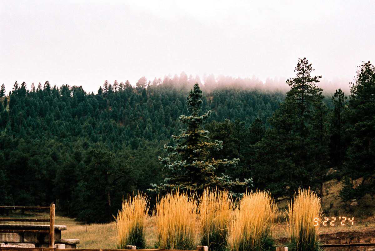 Flic Film Elektra 100 (35mm Roll Film, 36 Exposures) - Victory Camera