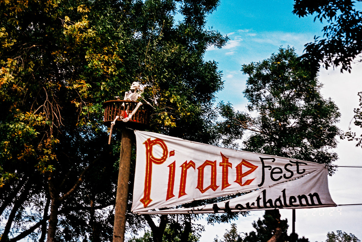 Flic Film Elektra 100 (35mm Roll Film, 36 Exposures) - Victory Camera