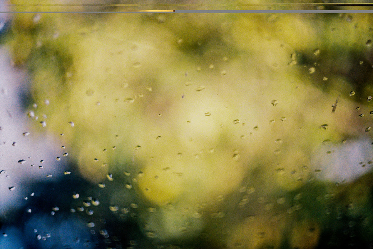 Kodak ColorPlus 200 Color Negative Film (35mm Roll Film, 36 Exposures) - Victory Camera