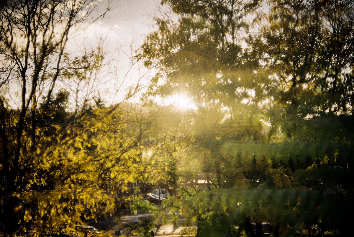 Kodak ColorPlus 200 Color Negative Film (35mm Roll Film, 36 Exposures) - Victory Camera