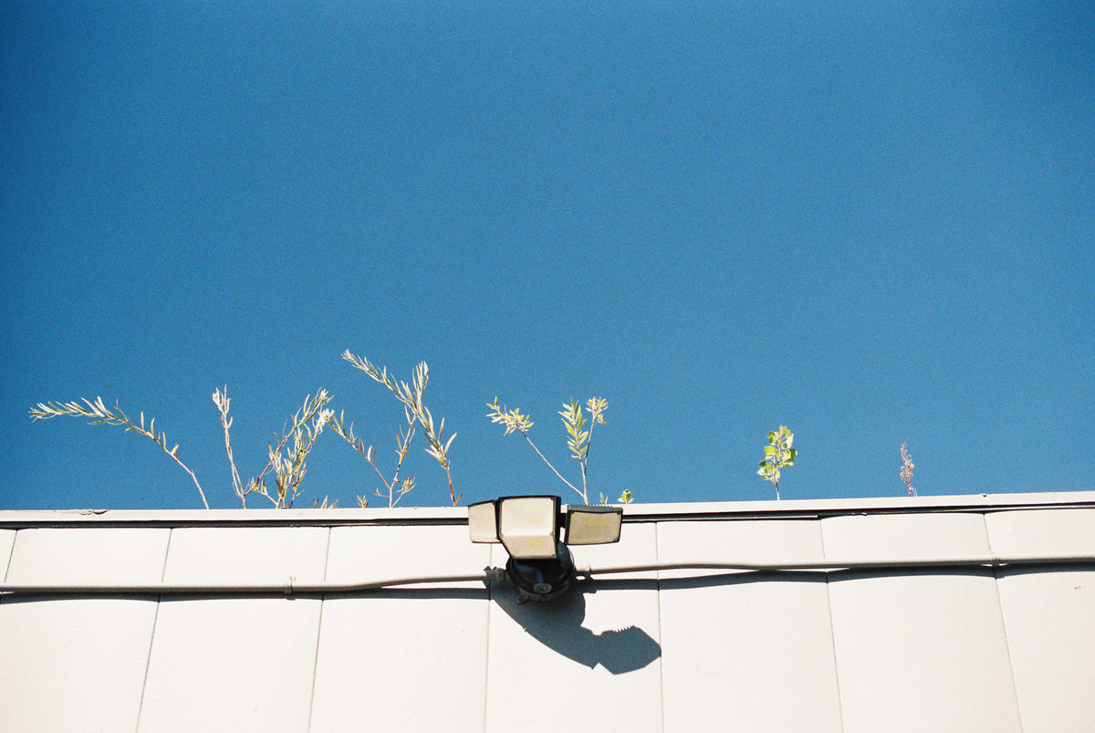 Fuji Film 400 35mm (1 Roll) - Victory Camera