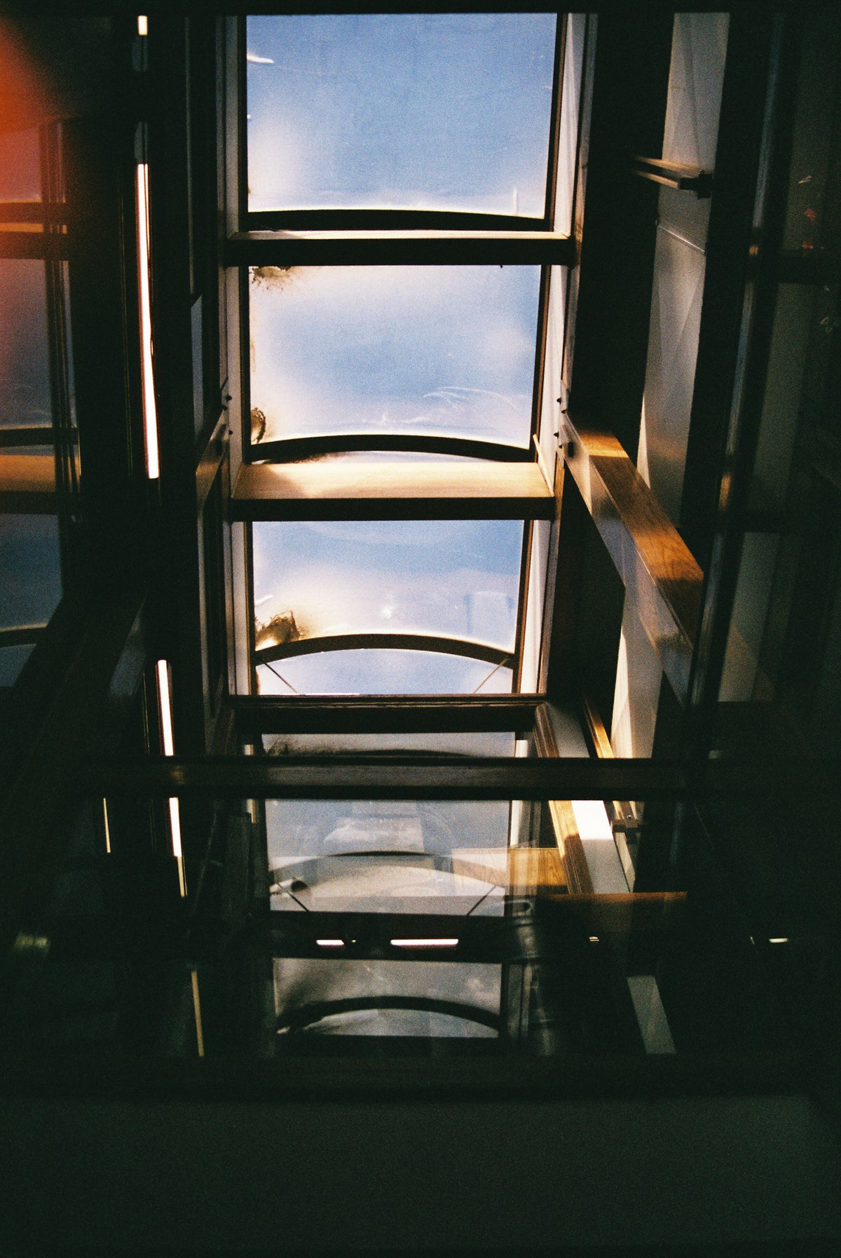 CineStill 400D Dynamic Color Negative Film (35mm Roll Film, 36 Exposures) - Victory Camera