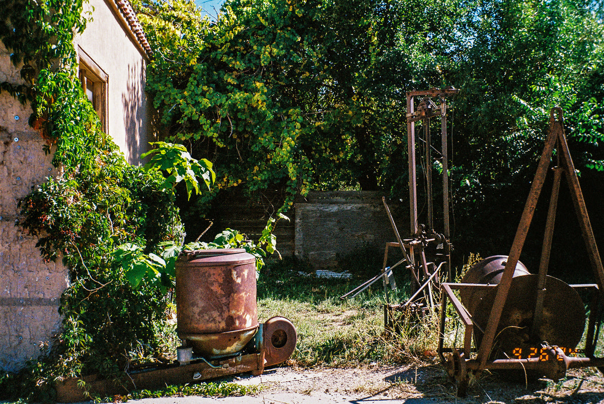 Fuji Film 400 35mm (1 Roll) - Victory Camera