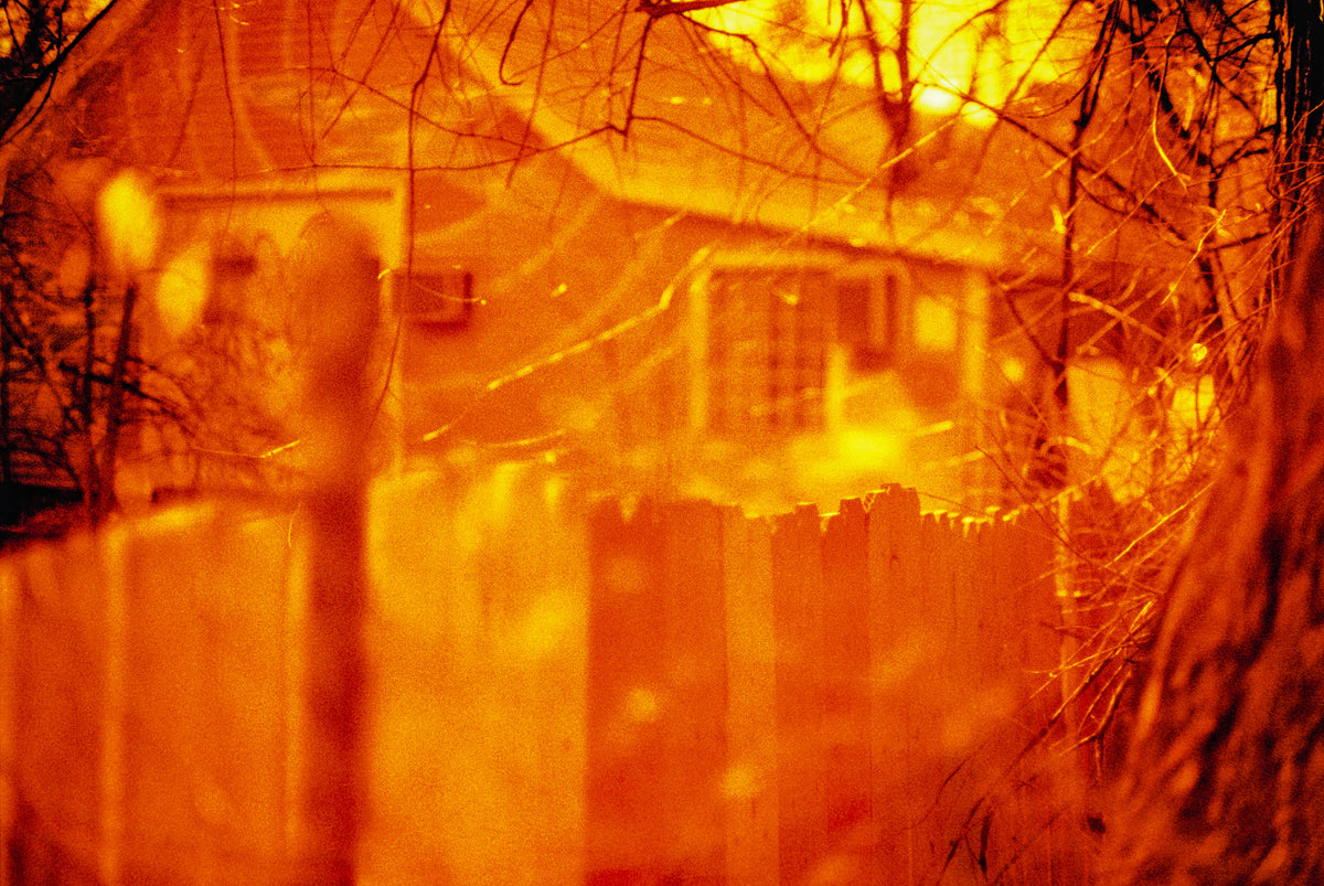 HARMAN technology Red 125 Redscale Color Negative Film (35mm Roll Film, 36 Exposures) - Victory Camera