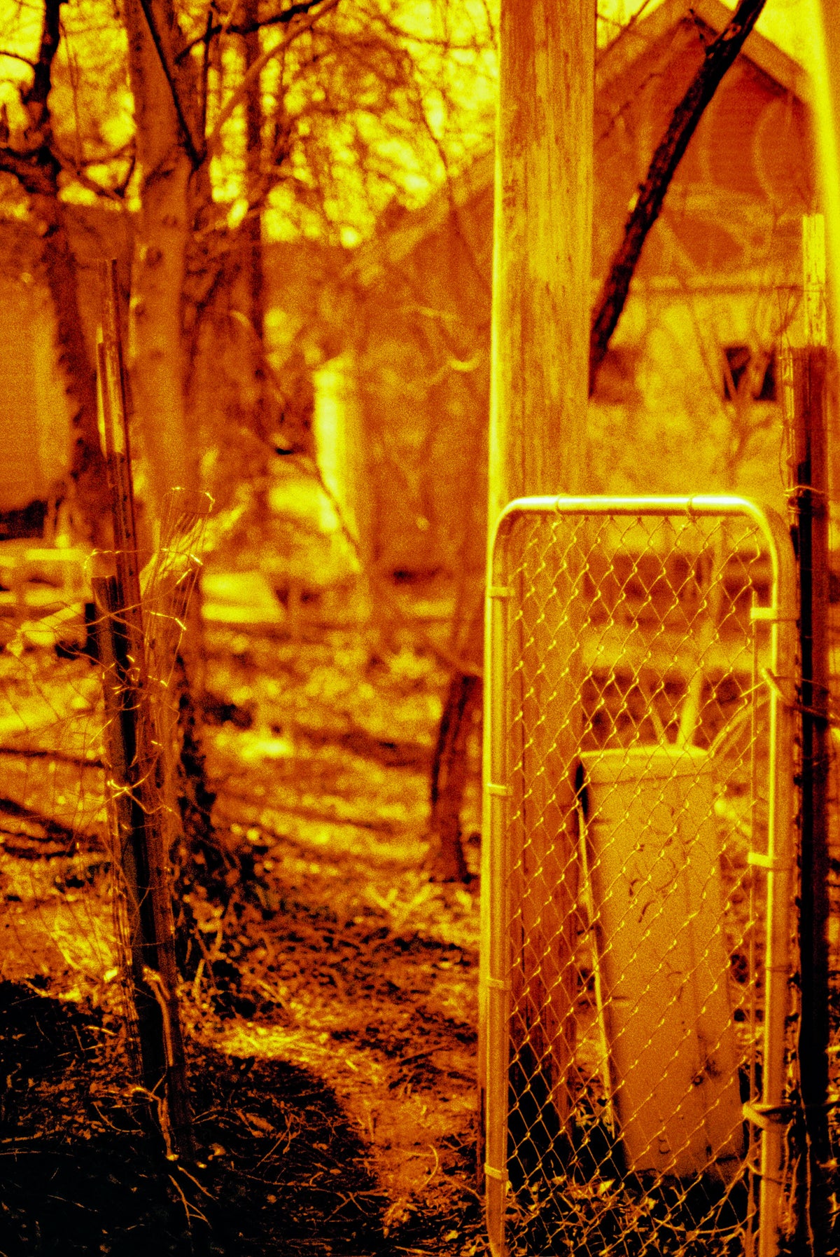 HARMAN technology Red 125 Redscale Color Negative Film (35mm Roll Film, 36 Exposures) - Victory Camera