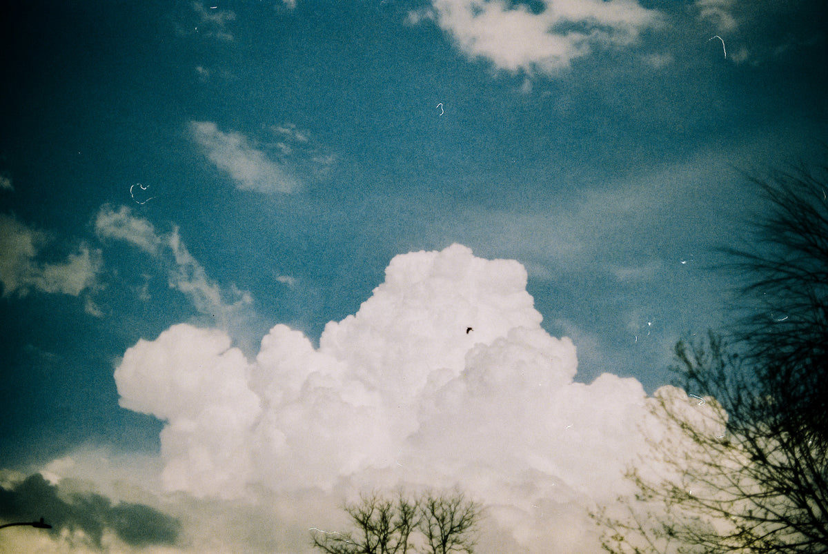 Flic Film Aurora 400 Color Negative Film (35mm Roll Film, 36 Exposures) - Victory Camera