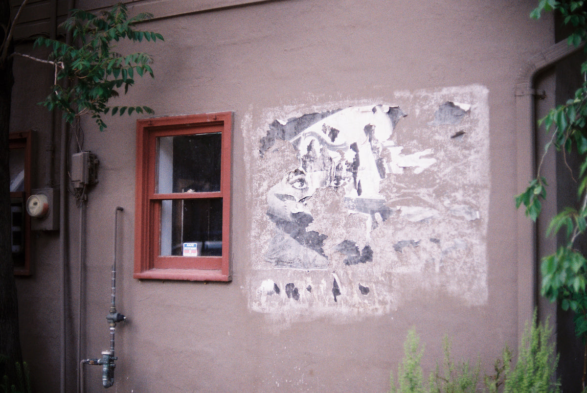 Kodak ColorPlus 200 Color Negative Film (35mm Roll Film, 36 Exposures) - Victory Camera