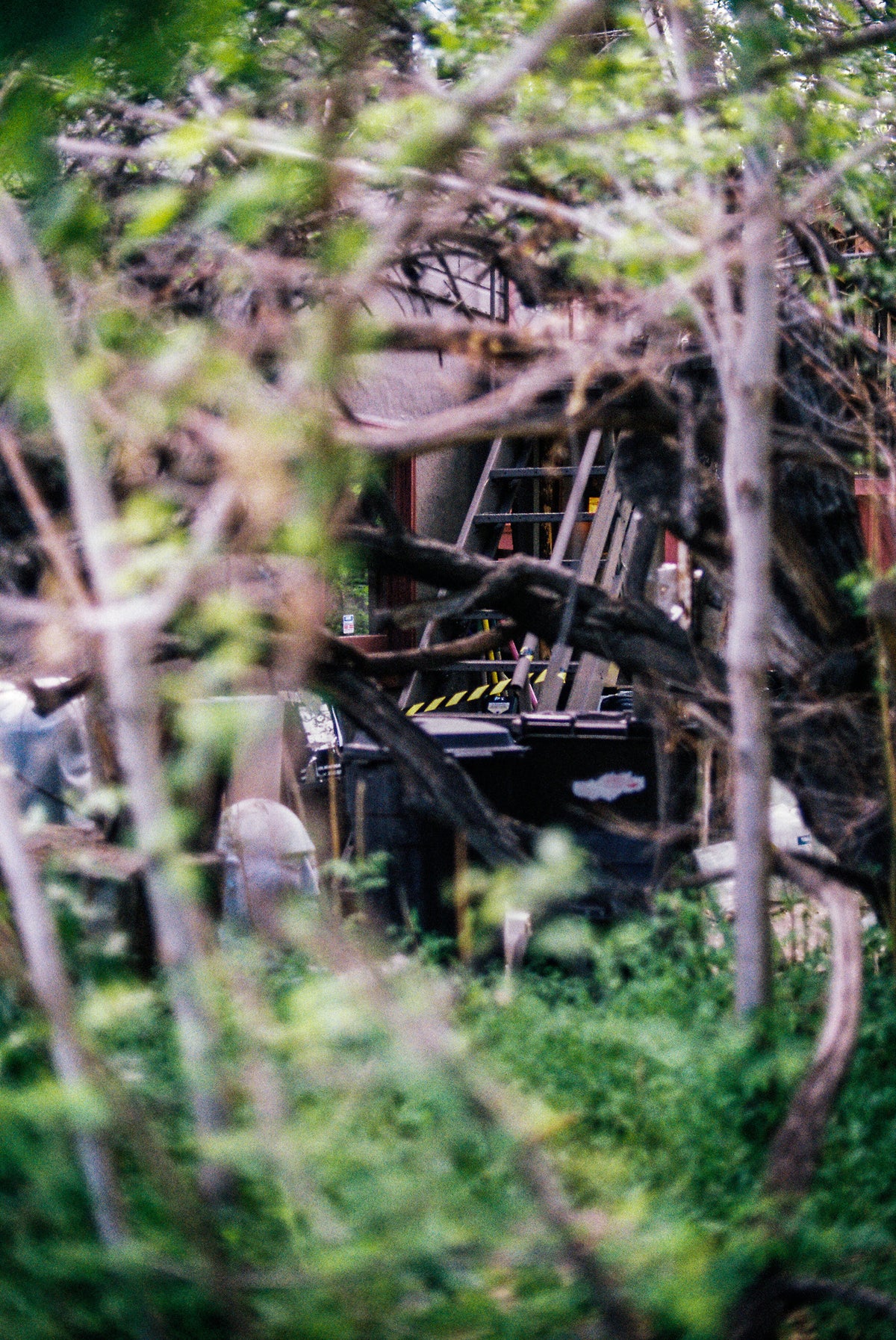 Kodak ColorPlus 200 Color Negative Film (35mm Roll Film, 36 Exposures) - Victory Camera