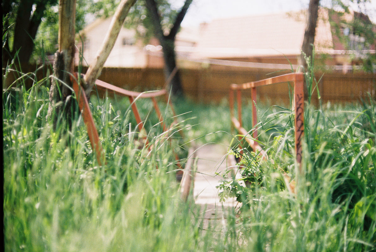 Kodak ColorPlus 200 Color Negative Film (35mm Roll Film, 36 Exposures) - Victory Camera