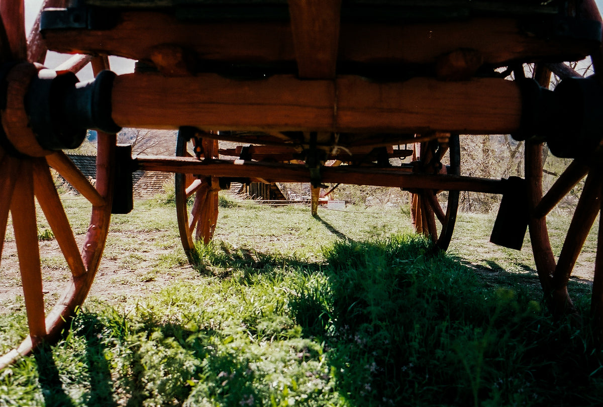 CineStill 400D Dynamic Color Negative Film (35mm Roll Film, 36 Exposures) - Victory Camera