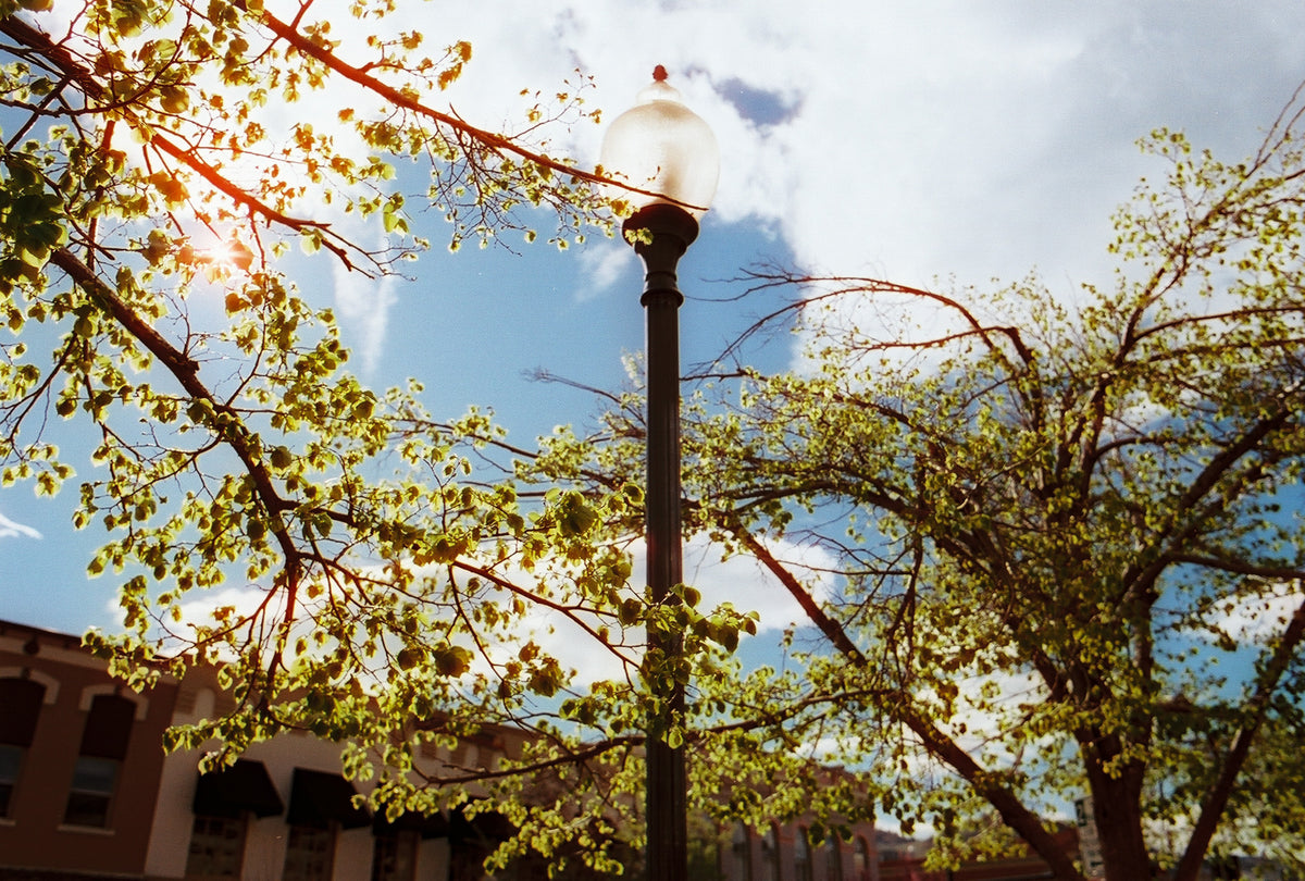 CineStill 400D Dynamic Color Negative Film (35mm Roll Film, 36 Exposures) - Victory Camera