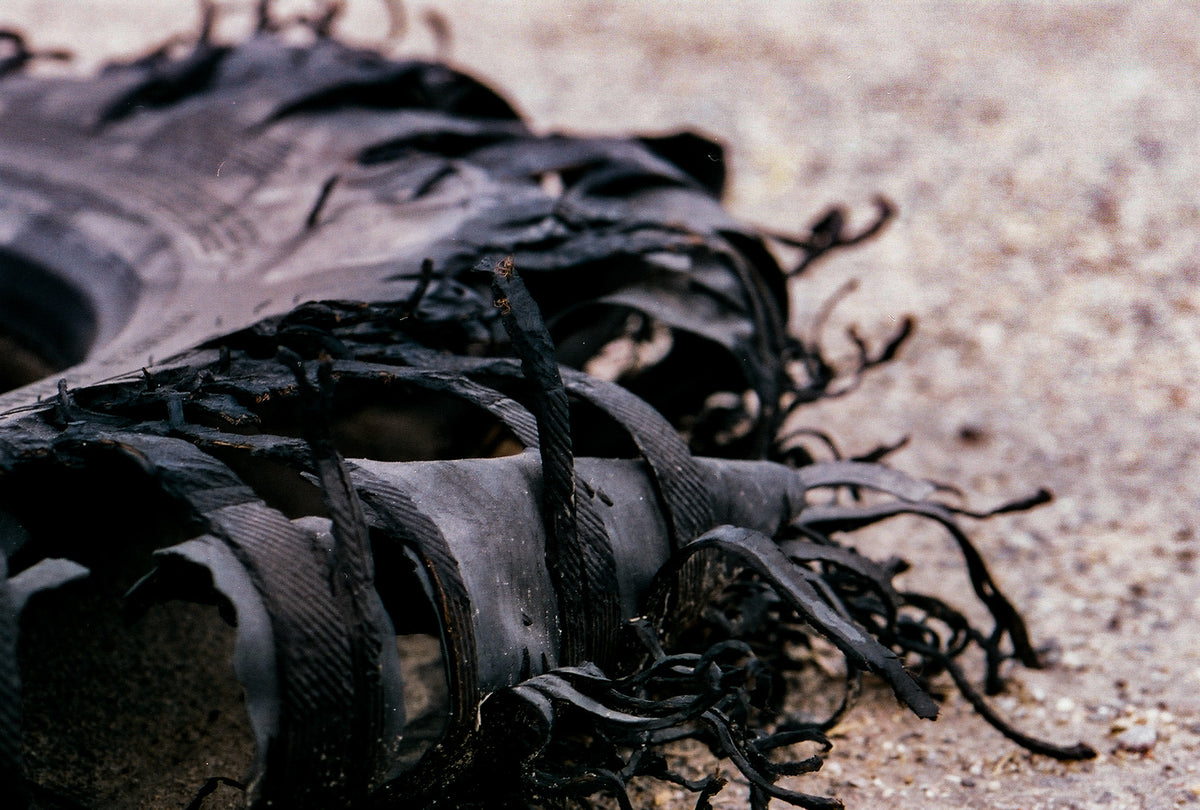 CineStill 400D Dynamic Color Negative Film (35mm Roll Film, 36 Exposures) - Victory Camera