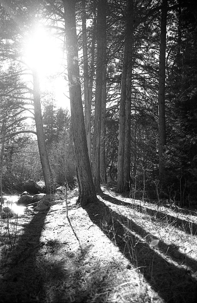 Flic Film Kodak Double-X Black & White Negative Film (35mm, 36 Exposures)