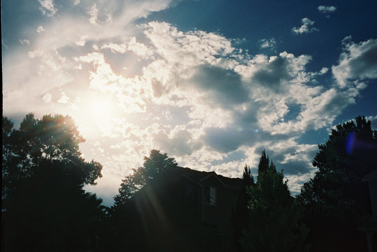 CineStill Film 800T Tungsten Xpro C-41 Color Negative Film (35mm Roll Film, 36 Exposures) - Victory Camera