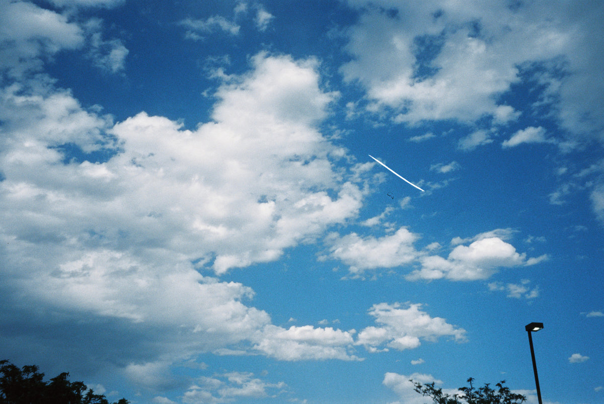 CineStill Film 800T Tungsten Xpro C-41 Color Negative Film (35mm Roll Film, 36 Exposures) - Victory Camera