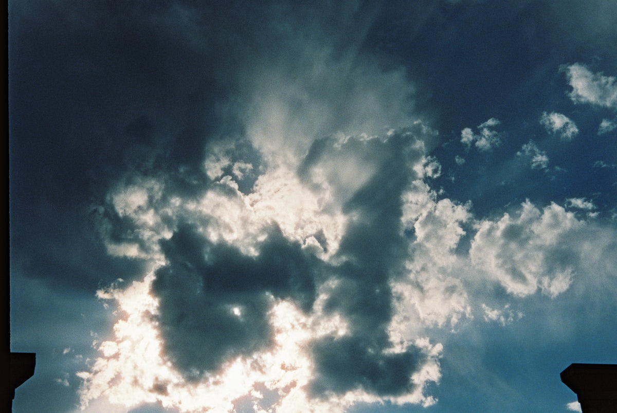 CineStill Film 800T Tungsten Xpro C-41 Color Negative Film (35mm Roll Film, 36 Exposures) - Victory Camera