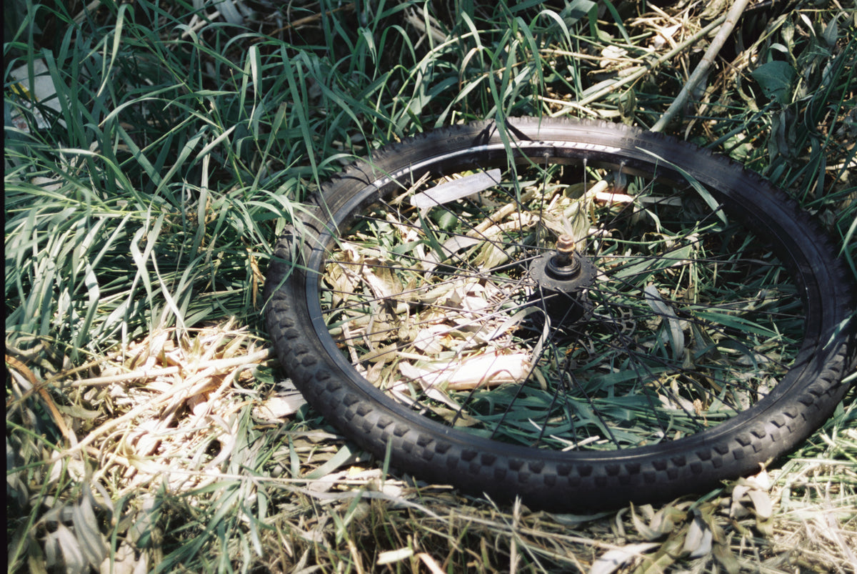 CineStill Film 50Daylight Xpro C-41 Color Negative Film (35mm Roll Film, 36 Exposures) - Victory Camera